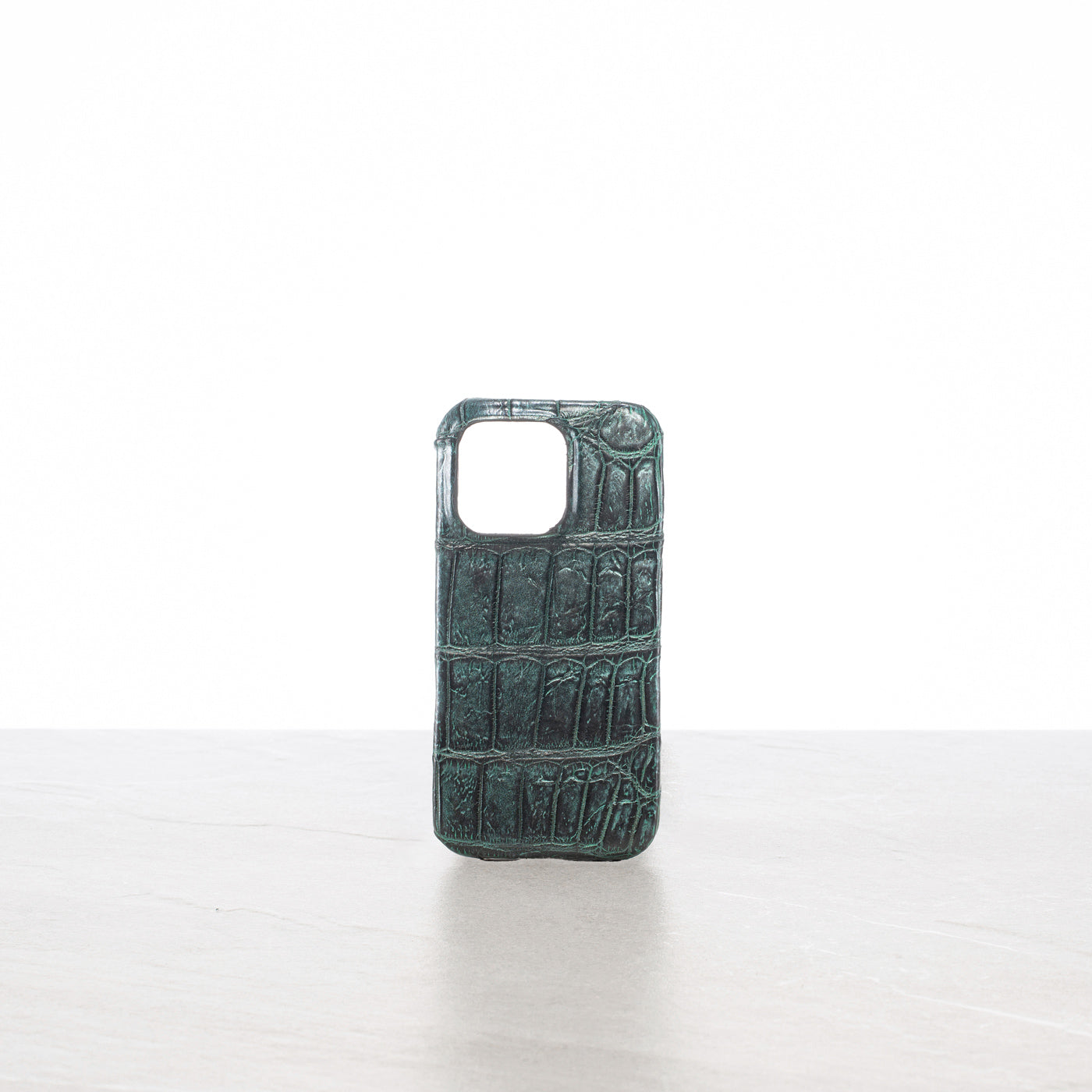 iPhone 16 Pro case